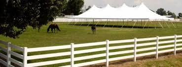 Large 40x80 white Century tent on a field with horses and white fencing